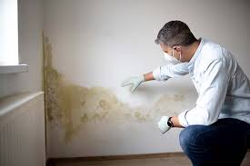 Best Mold Remediation for Healthcare Facilities  in Phoenix, IL